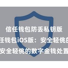 信任钱包防丢私钥版本 信任钱包iOS版：安全轻佻的数字金钱处置器具