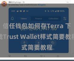 信任钱包如何存Terra 下载Trust Wallet样式简要教程